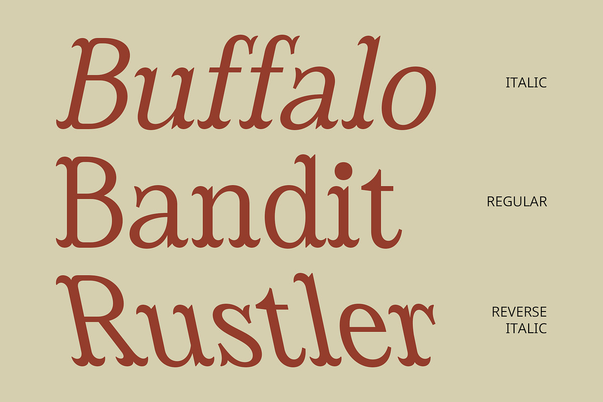 CS Amadeus – Tuscan Font, a Serif Font by Craft Supply Co. (Photo 5 of 8)