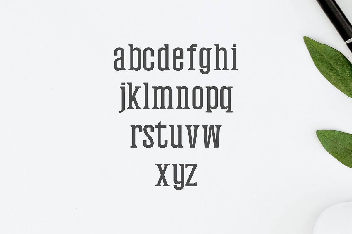 Mahlon Serif Font Family Pack preview 3