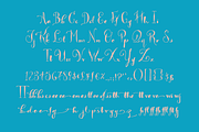 Majestic Palm, a Script Font by STUDIOWAYS (Thumbnail 4 of 6)