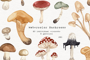 Mushrooms Watercolor Clipart, an Education Illustration by Ooh Lily