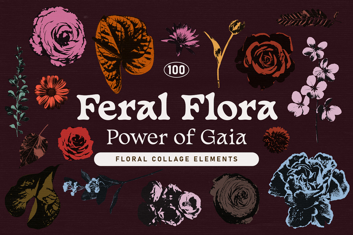 FERAL FLORA Collage Elements, an Object Graphic by angelainthefields (Photo 1 of 12)