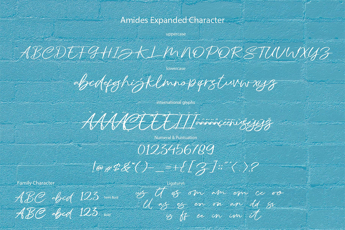 AMIDES - Handwritten, a Script Font by Olexstudio (Photo 7 of 7)