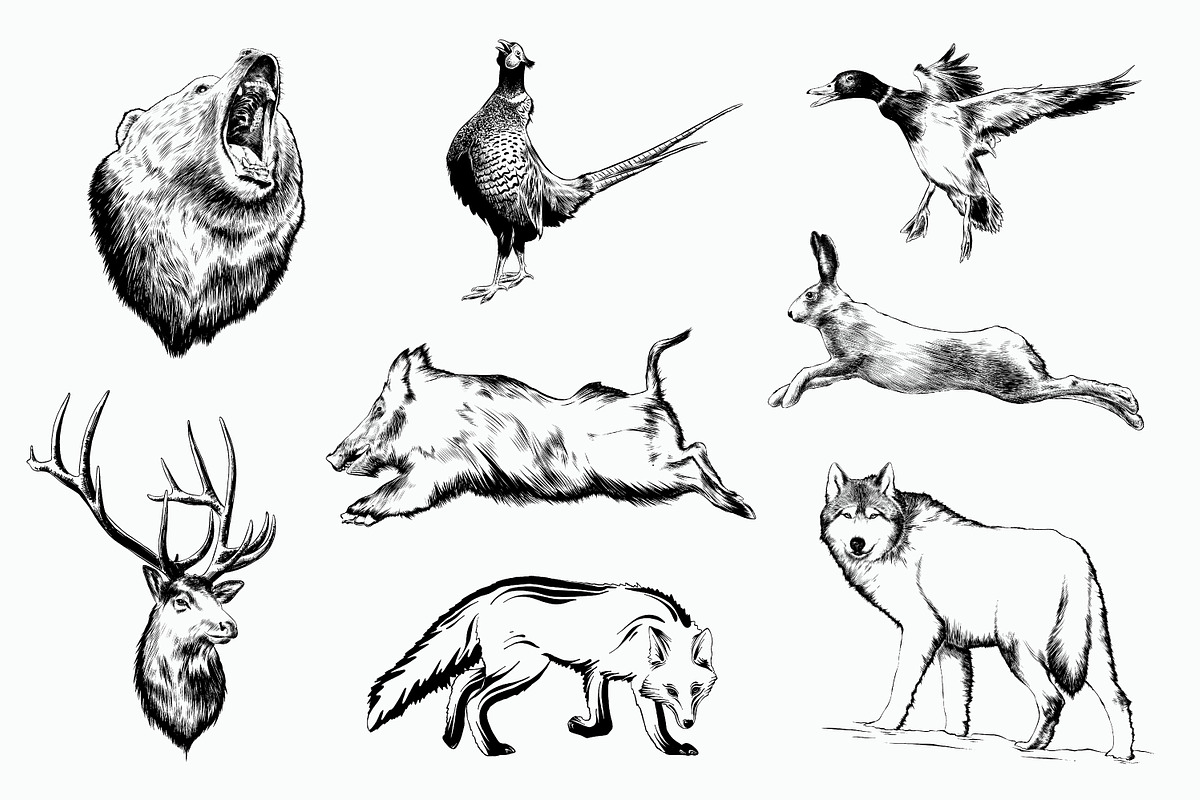 Hunting hand drawn logo elements, an Animal Illustration by Akimo Mia (Photo 5 of 6)
