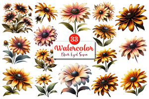 Black Eyed Susan Clipart Bundle., a Graphic by CitraGraphics
