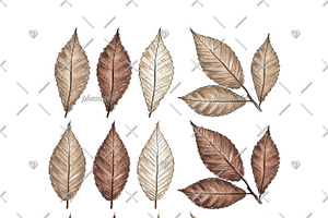 Fall Watercolor Cliparts