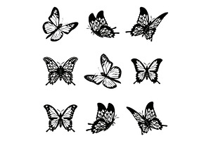 Butterfly Of Silhouette Icon Set Vector Illustration.