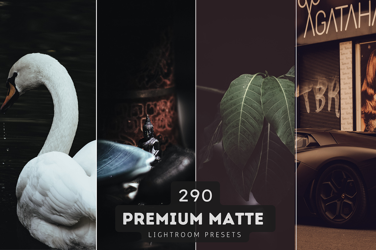 290 Matte Lightroom Presets Bundle, an Action Add-On by RamsaGraphi (Photo 1 of 12)