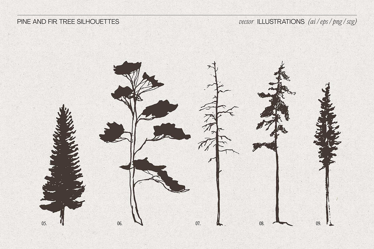 Pine and Fir Tree Silhouettes, an Object Illustration by TheMountBirdStudio (Photo 6 of 6)