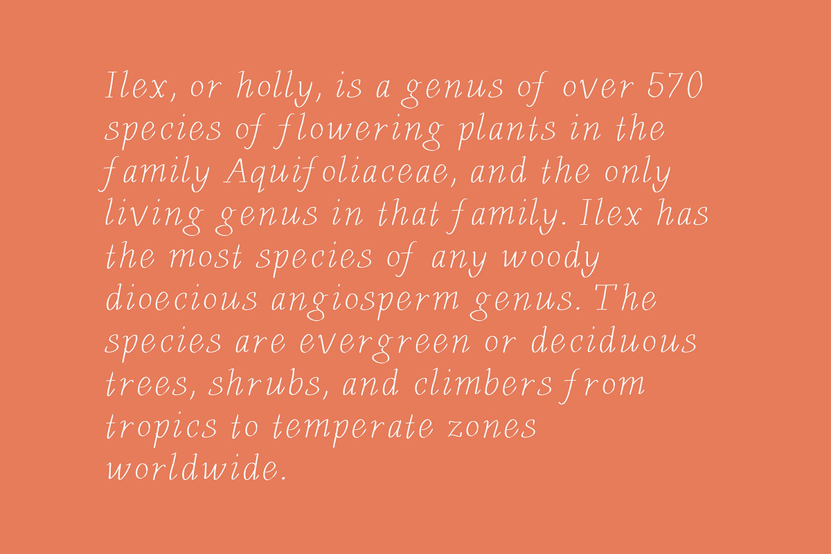 Holly storybook simple font, a Font by Brunch Club Design (Photo 2 of 4)