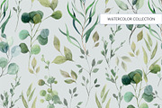 Herbal watercolor collection, a Pattern Graphic by HannaStudio (Thumbnail 7 of 8)