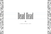 Virgo Antique Display, a Serif Font by Vintage Type Company (Thumbnail 10 of 15)