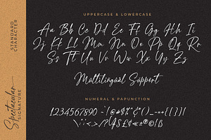 Spectacular Signature Font