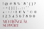 Bastion Serif - Modern Elegant Font, a Serif Font by Qweera Studio (Thumbnail 12 of 12)