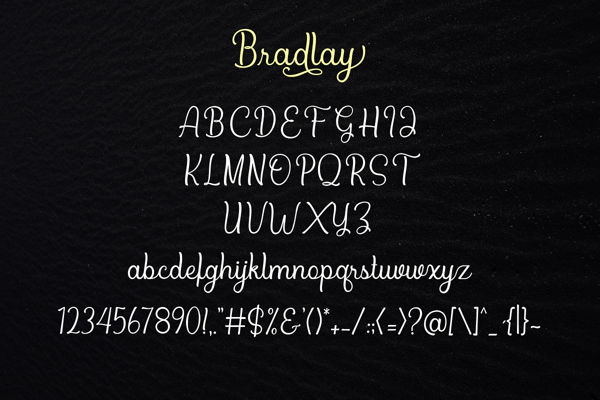 Bradlay Script preview 8