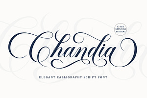 Perfect Font Bundle