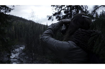 A woman with camera shoots a forest, a Nature Photo by Media Whale Stock