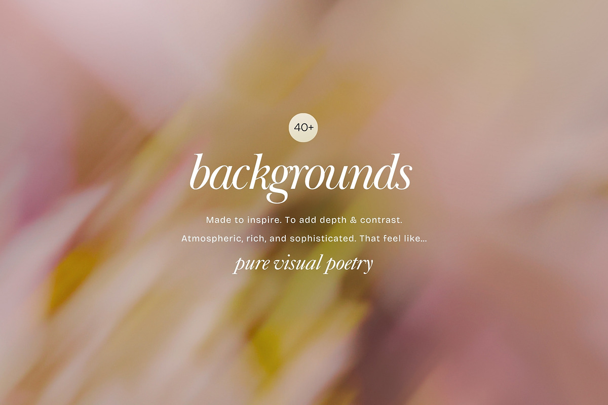 Blur Flower Abstract Backgrounds, a Background Graphic by eclosque (Photo 9 of 27)