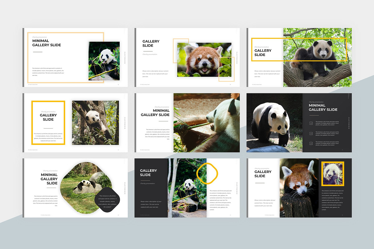 Animal Charity PowerPoint Template, a Presentation Template by litoondev (Photo 4 of 10)