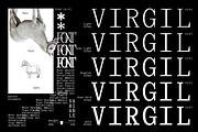Virgil Monospaced Font, a Serif Font by That That Creative (Thumbnail 2 of 8)