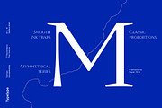 TT Ricordi Marmo, a Serif Font by TypeType (Thumbnail 3 of 15)