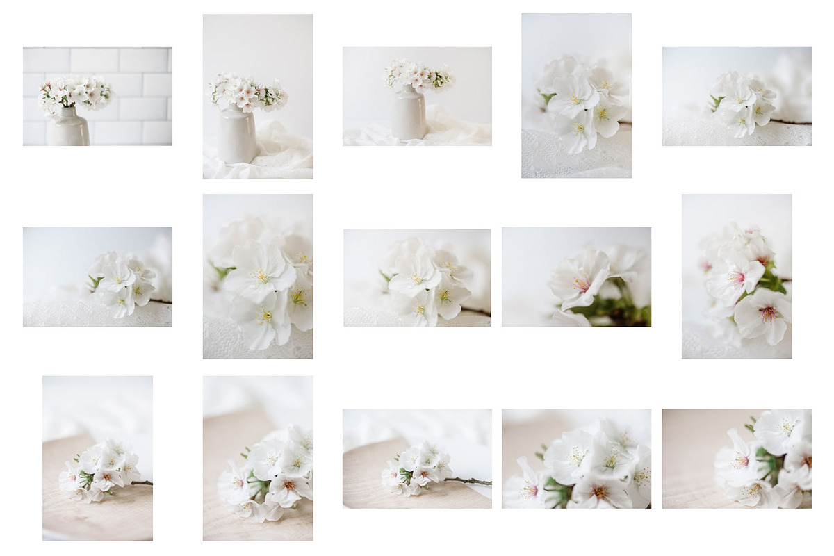 Cherry blossom | stock bundle containing stock photo, styled stock, and, a Nature Photo by Anna Wisjo Studio (Photo 2 of 3)