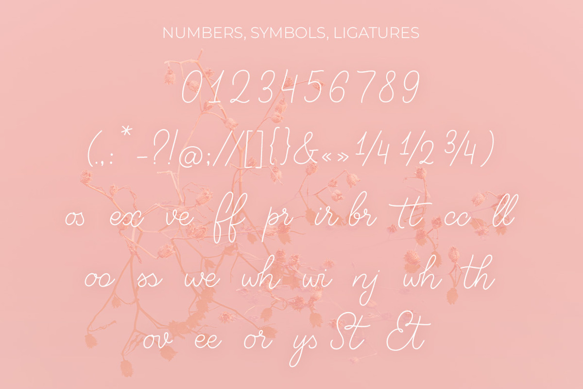 Clara Cake Script + emoji font, a Handwritten Font by Type Tale (Photo 4 of 11)