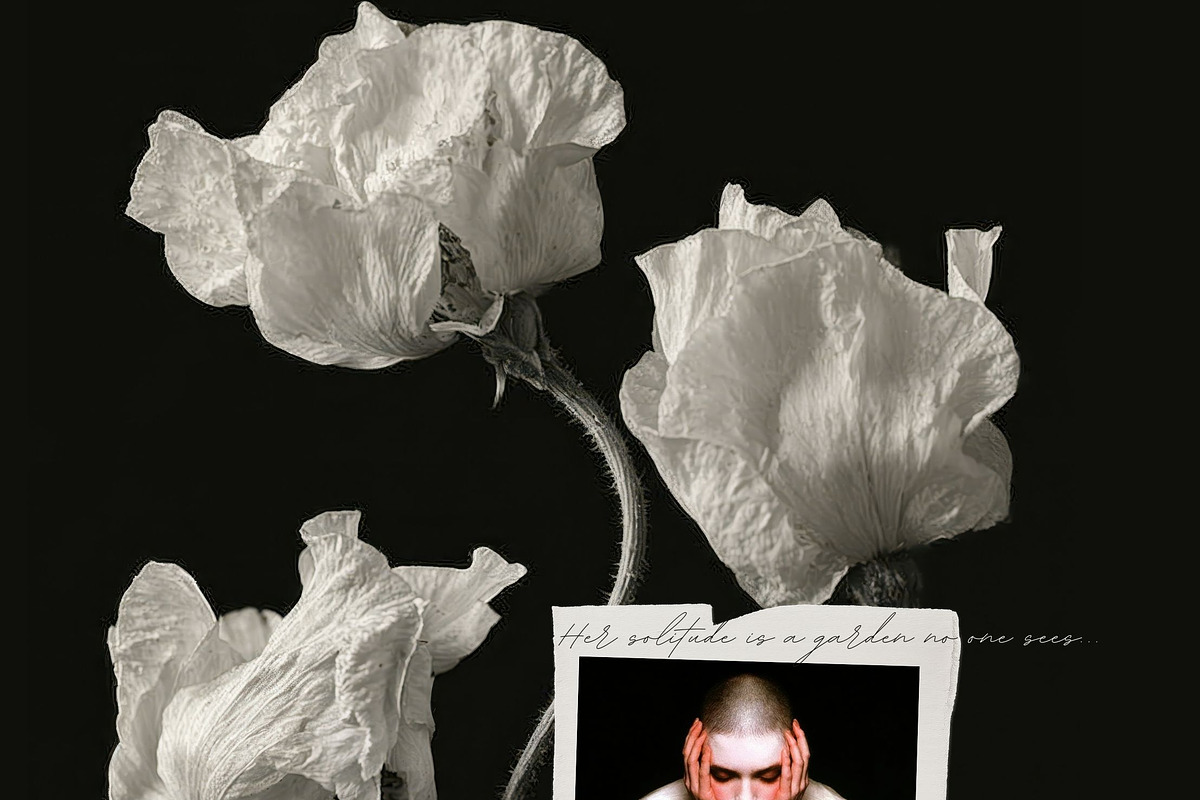 Dark Romance - Visual Archive, an Object Graphic by Natali Batu (Photo 13 of 13)