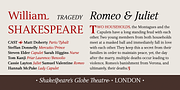 Narration, a Serif Font by PESIC (Thumbnail 2 of 8)