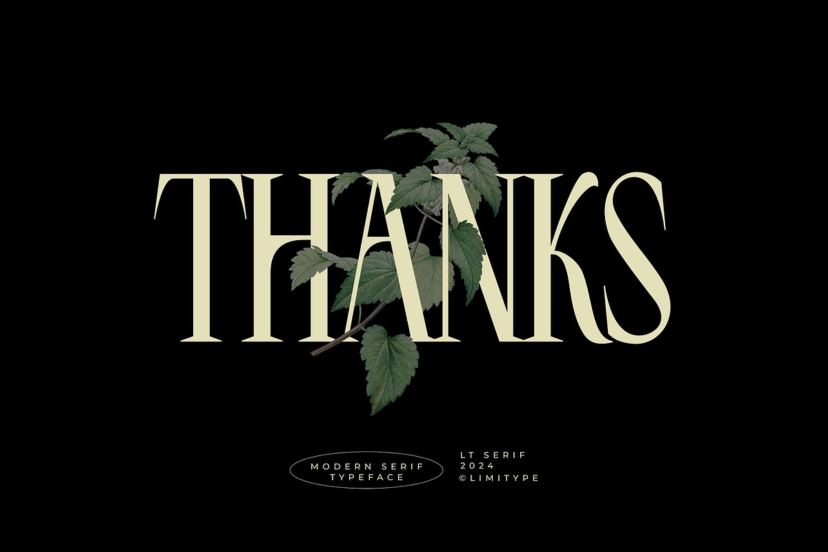 LT Serif - Modern Serif Font, a Serif Font by limitype (Photo 9 of 9)