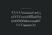 Gliterboard Luxury Serif Font, a Serif Font by UICreative (Thumbnail 11 of 13)