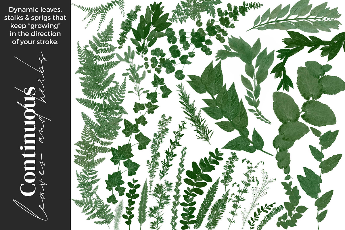 Greenery Brushes for Procreate, a Brush Add-On by AJ Brushes (Photo 3 of 9)