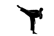 Dynamic martial arts kick silhouette, an Illustration by Amazin_art (Thumbnail 32 of 36)