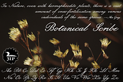 Botanical Scribe, a Script Font by Three Islands Press (Thumbnail 1 of 5)