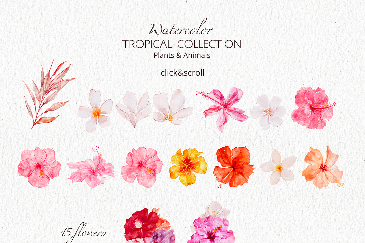 Tropical Collection Watercolor, a Decorative Illustration by Yakovleva Margarita (Photo 19 of 20)