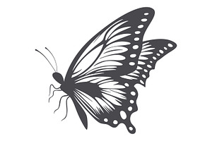 Butterfly, Vector Set.