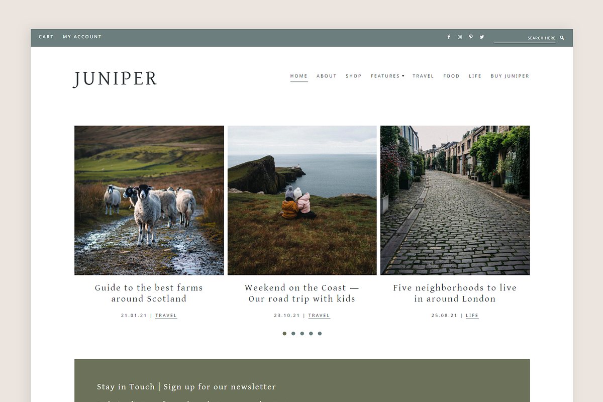 Juniper Theme • Genesis Child Theme, a WordPress Template by Code + Coconut (Photo 1 of 7)