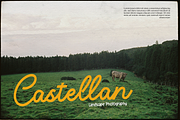 Averty Meadow | Monoline Script, a Script Font by gracetype_studio (Thumbnail 5 of 12)