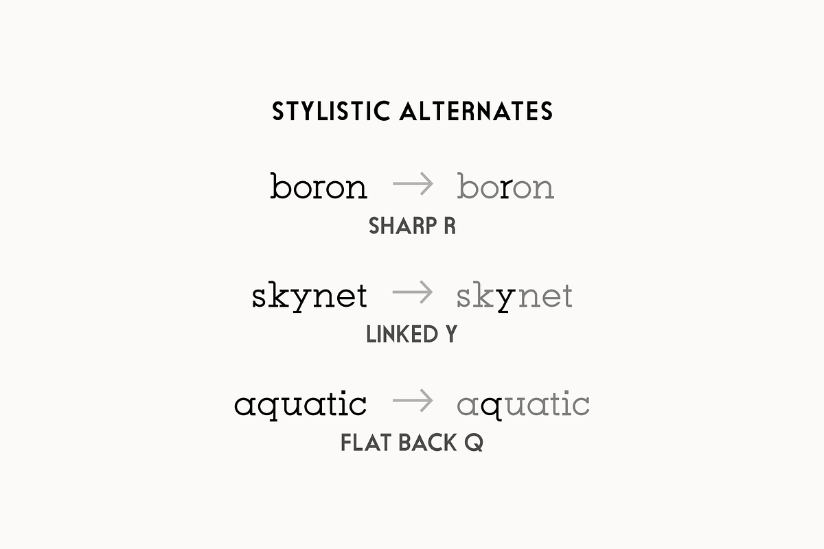 Post Serif - Vintage slab-serif, a Slab Serif Font by Jacob Waites (Photo 7 of 11)