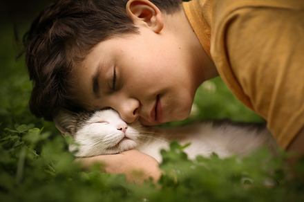Teenager boy with cat in hummock nap containing human, boy, and white