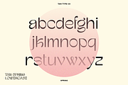 TAN-SPRING, a Sans Serif Font by TanType (Thumbnail 5 of 13)