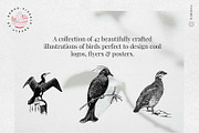 Vintage Bundle - 6600+ Illustrations, an Object Graphic by Nomad Visuals (Thumbnail 16 of 46)