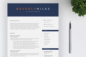 Professional Resume Template 4 Pages