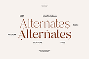 Hello Branch 8 Font Family, a Serif Font by Sans & Sons (Thumbnail 4 of 12)