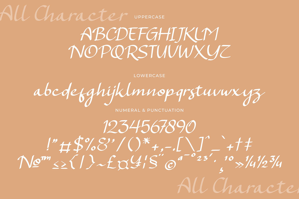 Kaseylum Script Font, a Script Font by Denustudios (Photo 12 of 14)
