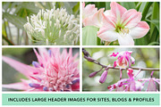Floral Botanical Background Images, a Background Photo by kristiangallagher (Thumbnail 2 of 5)