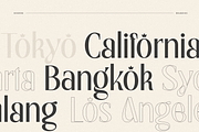 Royal - Modern Unique Display Font, a Serif Font by Sensatype (Thumbnail 2 of 15)