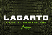 Lagarto, a Font by Aschwege Creative (Thumbnail 1 of 5)