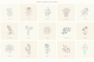 Birth-Flowers. Trendy Plants, Logos