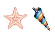 Sea Shells Clipart PNG, an Illustration by SinaCreation (Thumbnail 4 of 11)