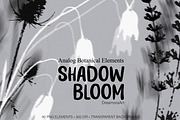 Shadow Bloom Analog Botanical PNG, an Object Graphic by DreamoraArt (Thumbnail 10 of 10)